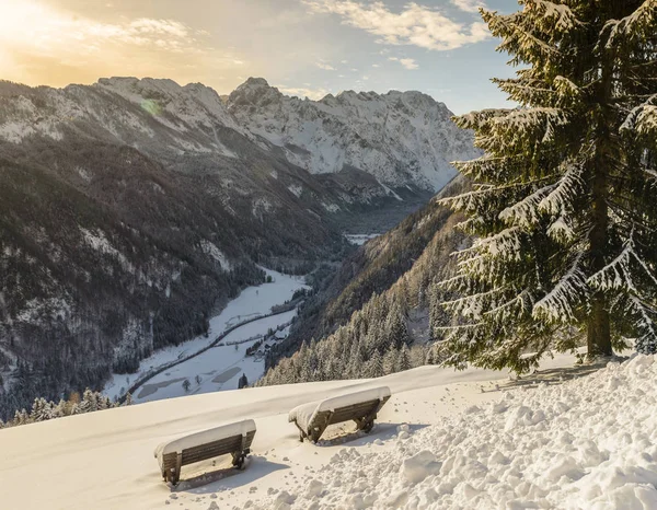 Karlı Kış Manzara Panoramik Solcava Road Logarska Dolina Slovenia Popüler — Stok fotoğraf