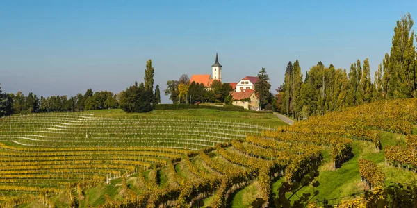 Letní Krajina Vineards Malé Vesnice Jeruzalem Slovinsku — Stock fotografie