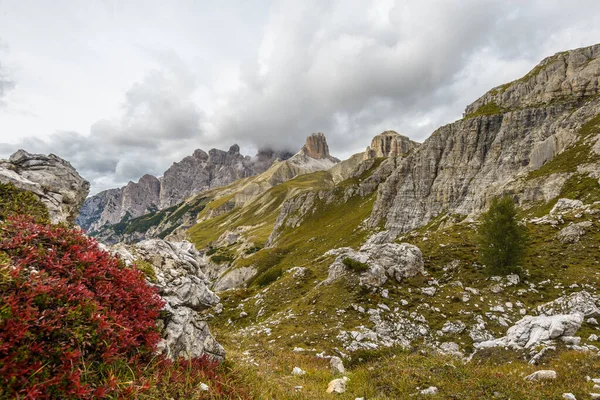 Rifugio Auronzo Parque Natural Tre Cim Drei Zinnen Sexten Dolomites — Fotografia de Stock