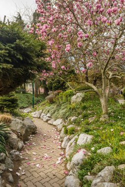 Baharda parkta güneşli güzel bir gün.