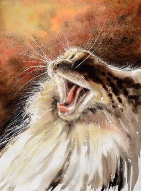 Cute Maine Coon cat yawning. Picture created with watercolors. clipart