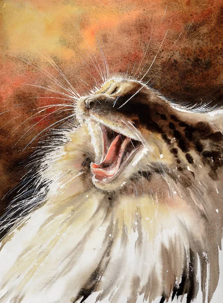 Leuke Maine Coon Kat Gapen Foto Gemaakt Met Aquarellen — Stockfoto