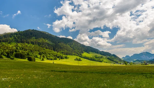 田園風景 背景に森や山と春の牧草地の開花と曇りの空 — ストック写真