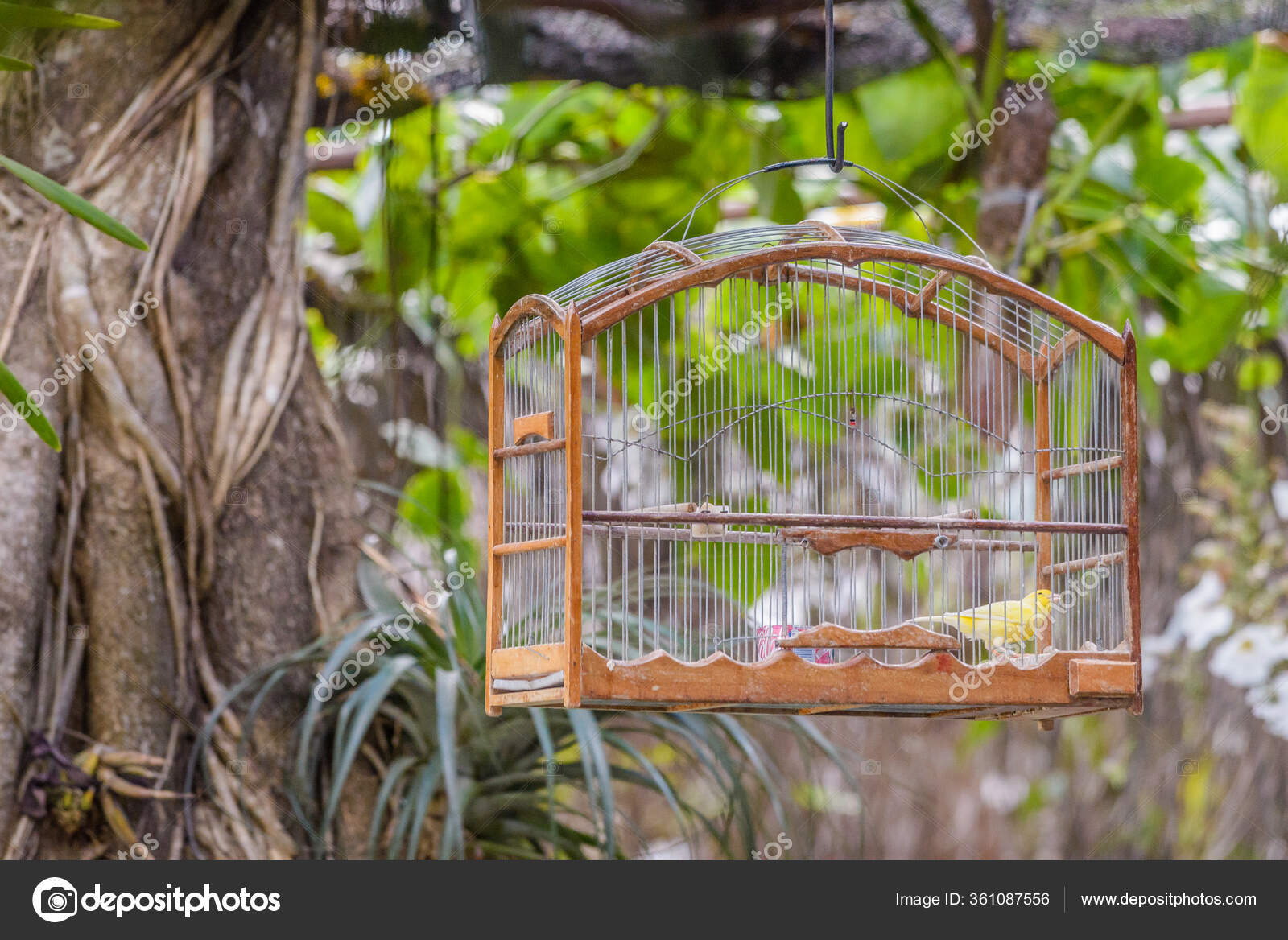 decorative wooden bird cages