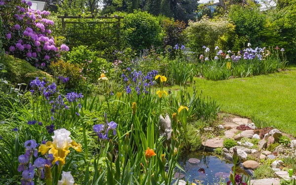 园中五彩缤纷的虹膜 常存的园圃 奥地利花园的彩色虹膜群 — 图库照片