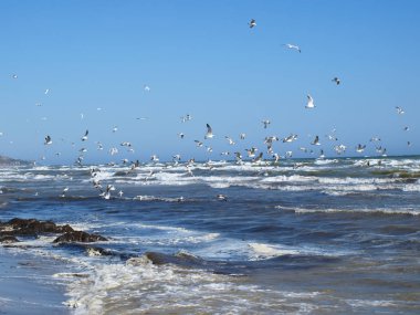 fırtınada bir deniz manzarası