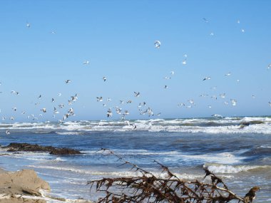 fırtınada bir deniz manzarası