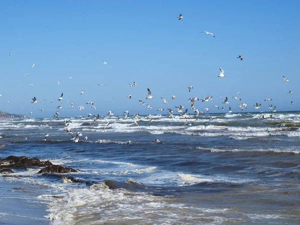 Seascape i en storm — Stockfoto