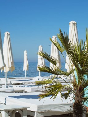 Issız bir plajda şezlonglar ve plaj şemsiyesi