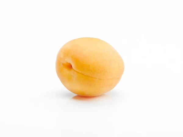 A single apricot — Stock Photo, Image