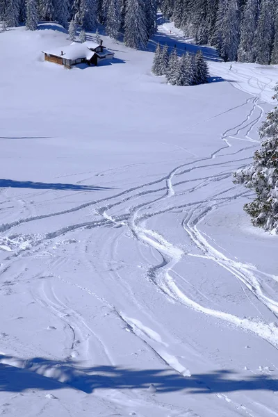 Múltiples Pistas Esquí Nieve — Foto de Stock