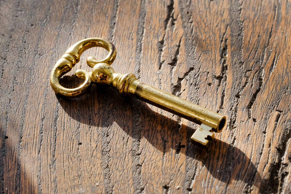 a single ornate brass key on a dark wood background