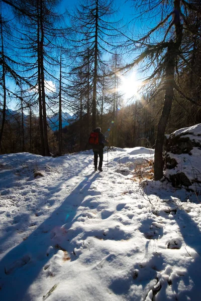 Trekking con neve in montagna — Foto Stock