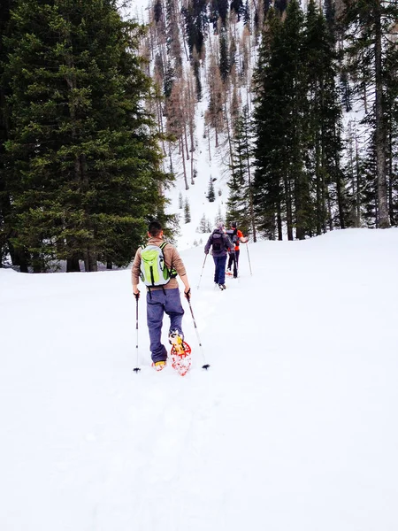 Menschen mit Schneeschuhen in den Bergen — Stockfoto