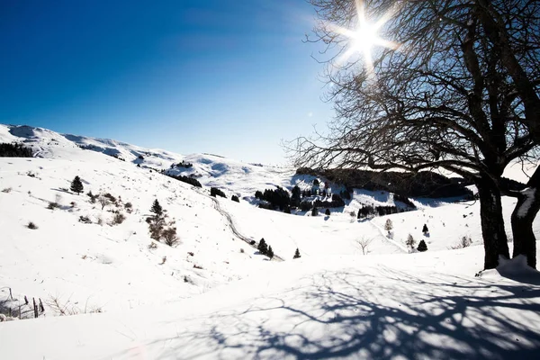 Paesaggio montano con neve Fotografia Stock