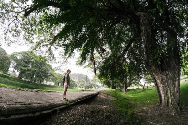 Jeune Femme Debout Sous Grand Arbre Sur Chemin — Photo