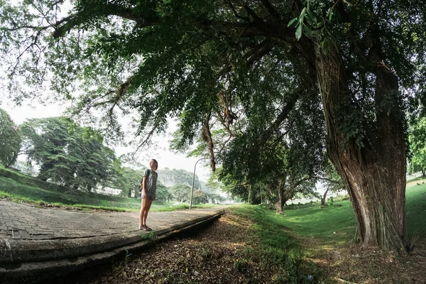 Νεαρή Κυρία Στέκεται Κάτω Από Ένα Μεγάλο Δέντρο Στο Μονοπάτι — Φωτογραφία Αρχείου