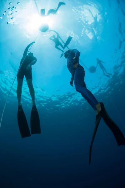 Free Diver Ascending Rope Depth — Stock Photo, Image