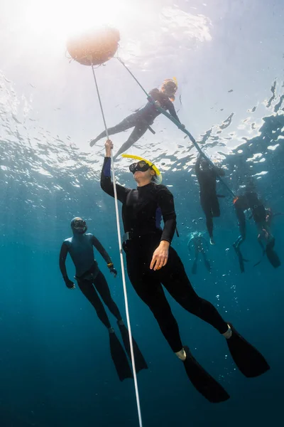 免费潜水训练 沿绳索向上攀爬 — 图库照片