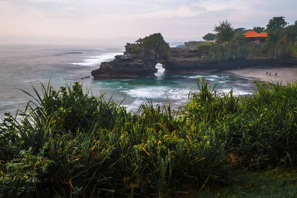Świątynia Tanah Lot Zieloną Rośliną Pierwszym Planie Bali Indonezja — Zdjęcie stockowe