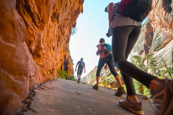 在美国布莱斯峡谷的石道上行走的远足者 — 图库照片