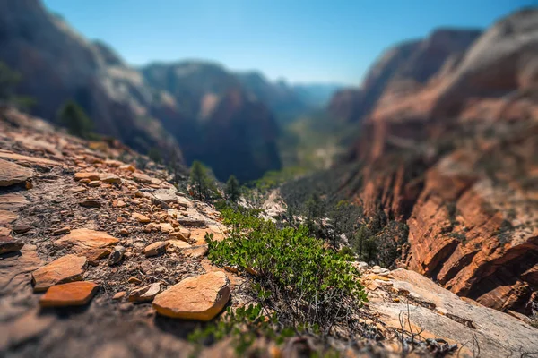 Vista Vale Parque Nacional Zion Dia Ensolarado Eua Efeito Mudança — Fotografia de Stock