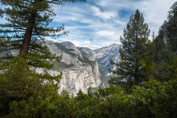 Yosemite Ulusal Parkı Nın Çam Ağaçları Dağları Abd — Stok fotoğraf