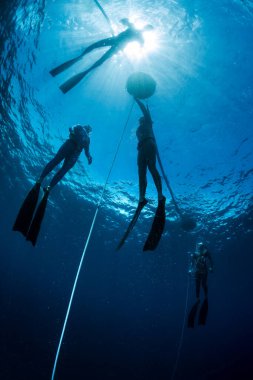 Tropikal denizde serbest dalış eğitimi, Bali, Endonezya