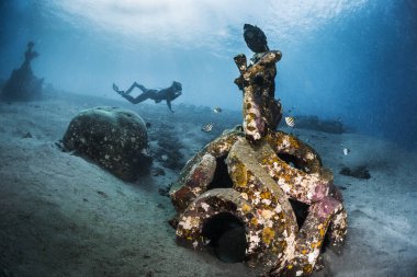 Serbest dalgıç tropikal bir denizde sualtı heykelini keşfediyor.