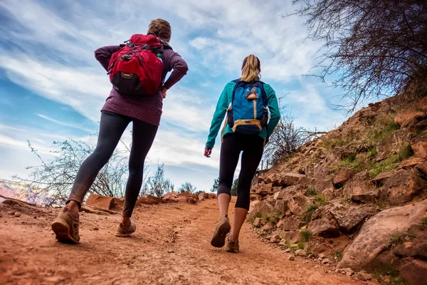 Duas Caminhantes Passarela Grand Canyon National Park Eua — Fotografia de Stock