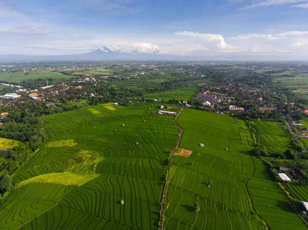 Luchtfoto Panorama Van Groene Rijstvelden Bali Indonesië — Stockfoto