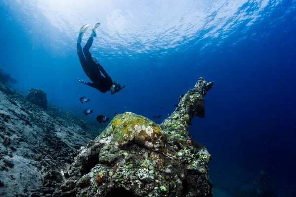 Vrije Duiker Die Het Onderwaterstandbeeld Een Tropische Zee Verkent — Stockfoto