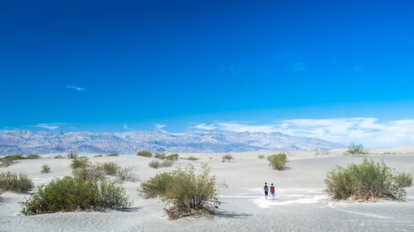 Wanderpaar Der Sandwüste Des Death Valley Nationalparks Usa — Stockfoto