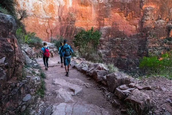 Group Hikers Walkway Grand Canyon National Park Usa — Stock Photo, Image