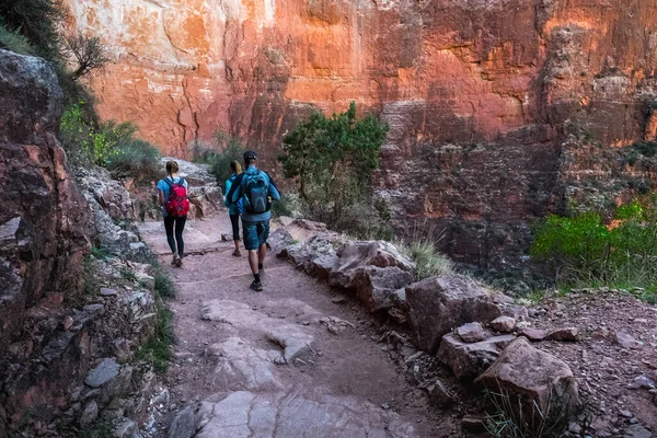 Groupe Randonneurs Sur Passerelle Parc National Grand Canyon États Unis — Photo