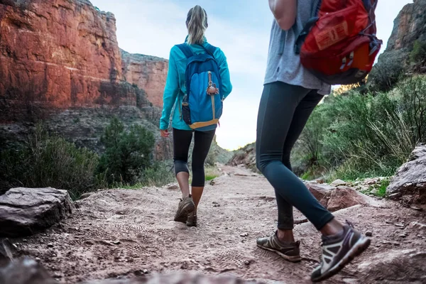 Twee Dameswandelaars Loopbrug Bij Het Grand Canyon National Park Usa — Stockfoto