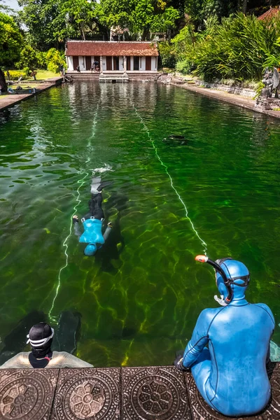 Trénink Potápěčů Zdarma Bazénu Zeleným Dnem Mechu — Stock fotografie
