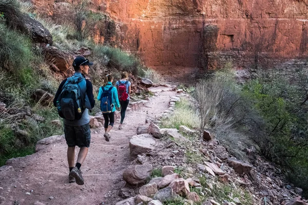 Abd Deki Grand Canyon Ulusal Parkı Nda Yürüyüş Yapan Bir — Stok fotoğraf