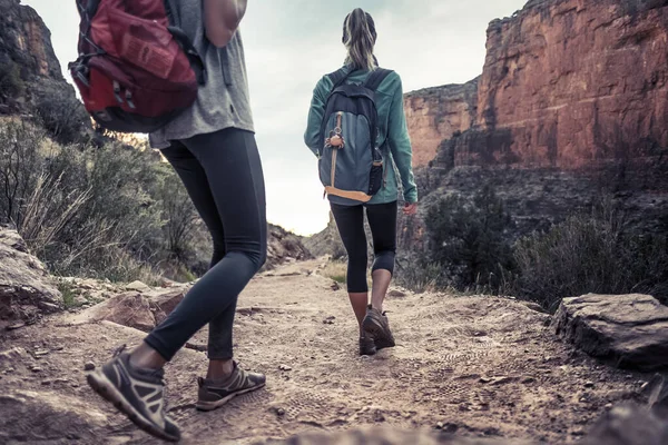 Két Női Túrázó Grand Canyon Nemzeti Park Sétányán Usa — Stock Fotó