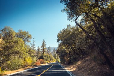 Güneşli bir günde Yosemite Ulusal Parkı 'nda asfalt yol, ABD