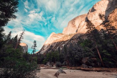 Yosemite Vadisi Ulusal Parkı Ağaçları ve dağları olan, ABD