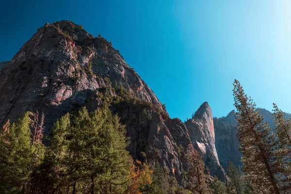 Yosemite Ulusal Parkı Abd Nin Ağaçları Uçurumları — Stok fotoğraf