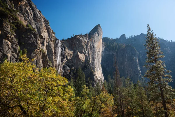 Yosemite Ulusal Parkı Abd Nin Ağaçları Uçurumları — Stok fotoğraf