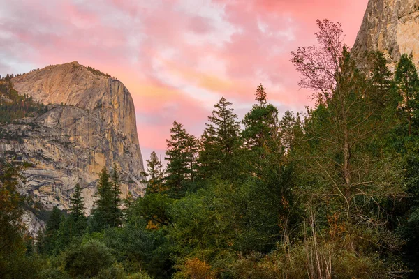 Cliff Trees Yosemite National Park Sunrise Usa — Stock fotografie