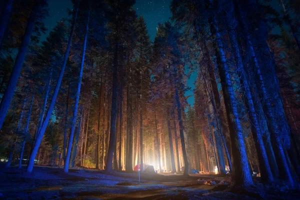 Campeggio Nella Foresta Conifere Del Parco Nazionale Dello Yosemite Notte — Foto Stock