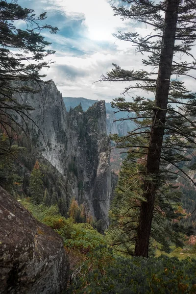 Yosemite Ulusal Parkı Nın Çam Ağaçları Dağları Abd — Stok fotoğraf
