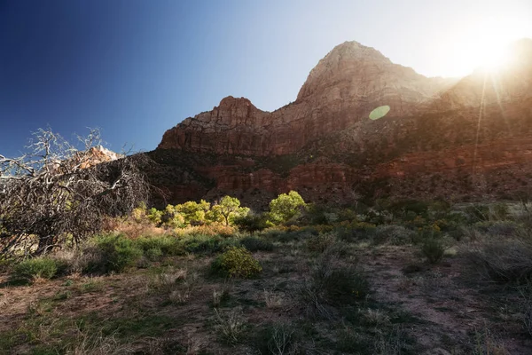 Felsen Des Zion Nationalparks Usa — Stockfoto