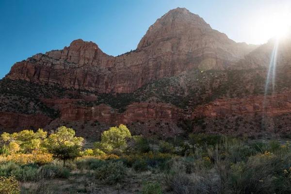 Felsen Des Zion Nationalparks Usa — Stockfoto