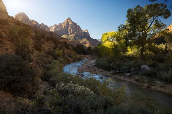 Güneşli Bir Günde Zion Ulusal Parkı Nda Küçük Bir Nehir — Stok fotoğraf