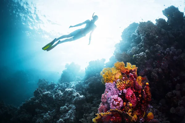 熱帯の海で鮮やかなサンゴ礁の上を水中で泳ぐフリーダイバー — ストック写真